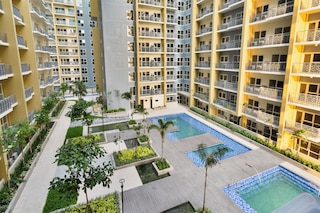 ベイショア ラックス バイ プライム