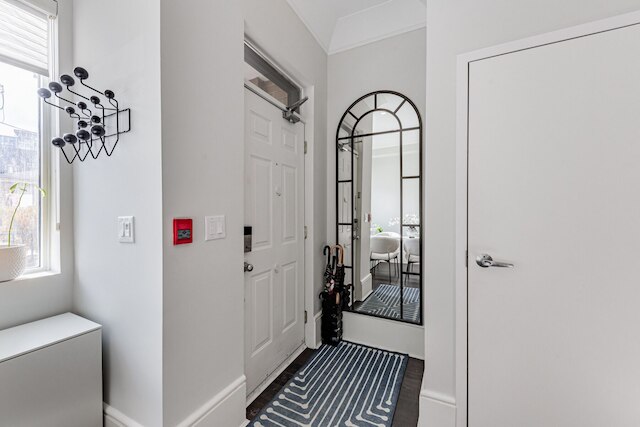 リベットステイズ - デザイナー ウォーク スイーツ