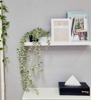 Raviens TheBayment Nampo