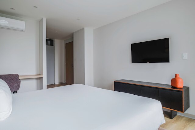 ブルーグラウンド インスルヘンテス メキシコシティ