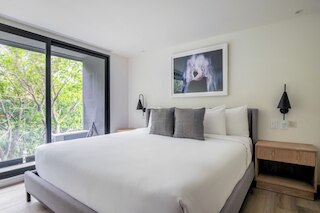 ブルーグラウンド リオ ナザス イン メキシコシティ