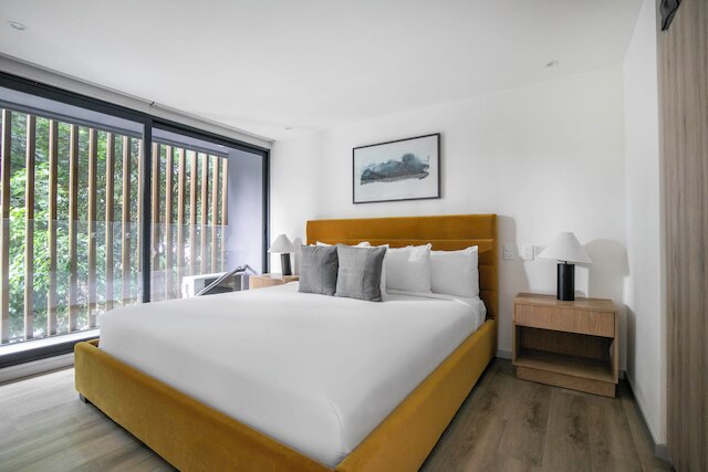 ブルーグラウンド リオ ナザス イン メキシコシティ