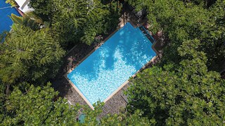 ジャングル アディション