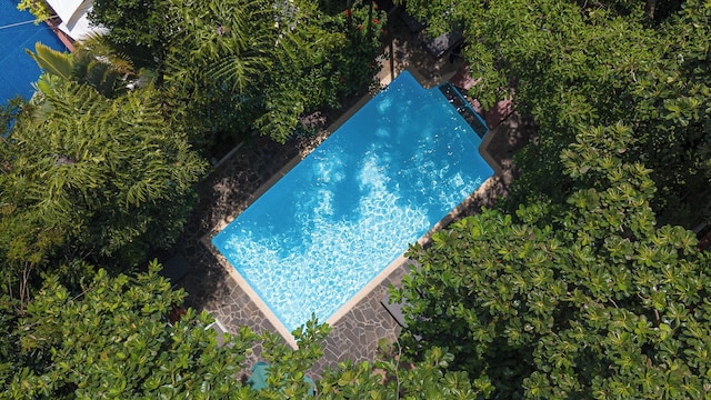 ジャングル アディション