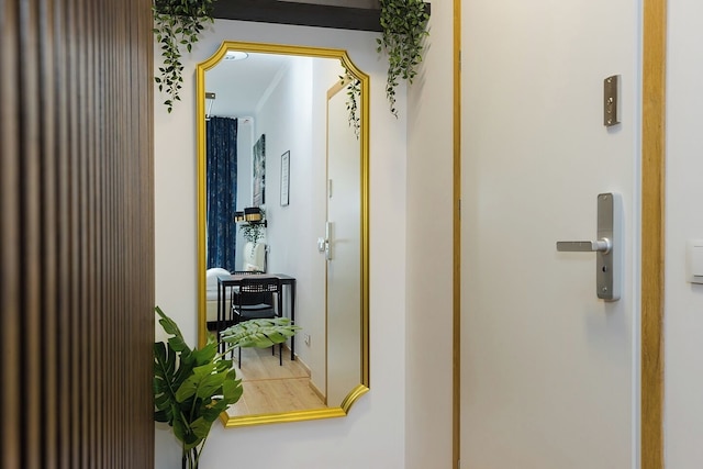 MGR ルームズ ソナタ