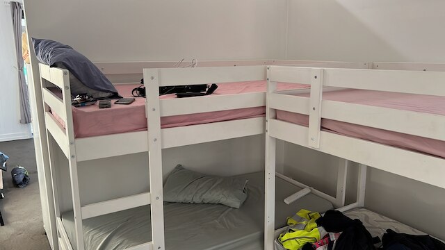 パーム ハミルトン バックパッカーズ