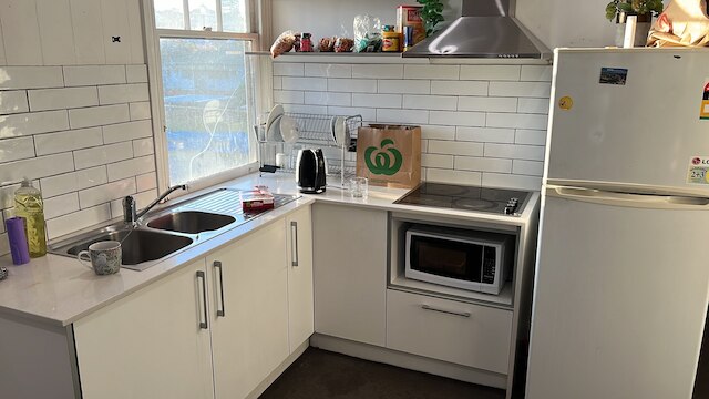 パーム ハミルトン バックパッカーズ