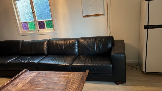 パーム ハミルトン バックパッカーズ