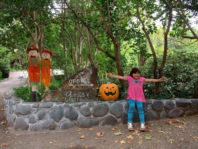 ブライアー パッチ イン