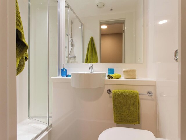 スチューデント オンリー カリコ