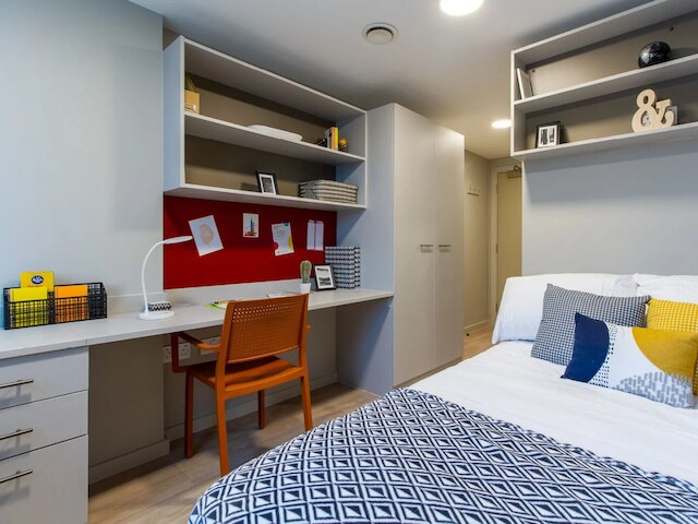 スチューデント オンリー カリコ