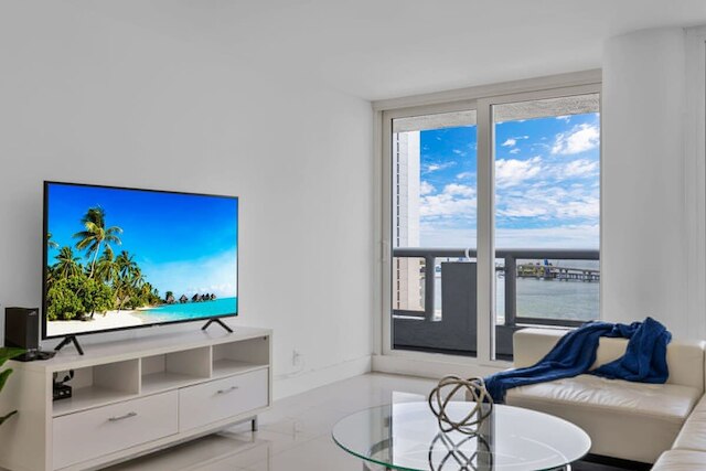 ダウンタウン シークルージョン