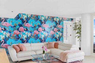 フラミンゴ ドリーム