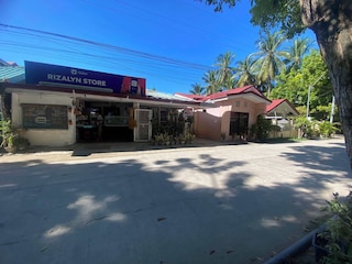 ハイビスカス ダイブ イン