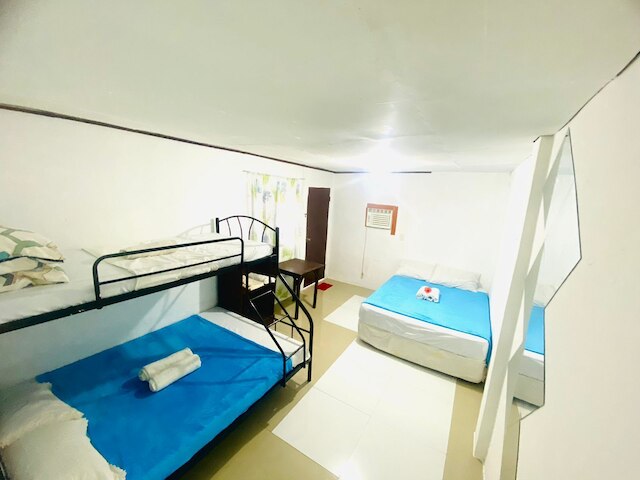 ハイビスカス ダイブ イン