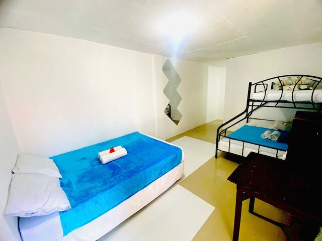 ハイビスカス ダイブ イン