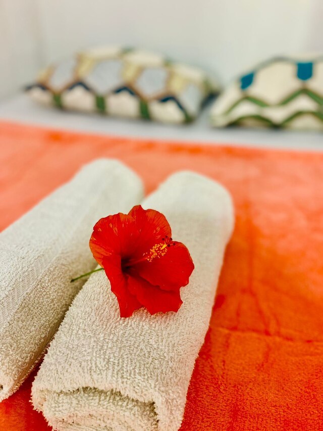 ハイビスカス ダイブ イン