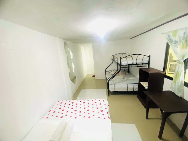 ハイビスカス ダイブ イン