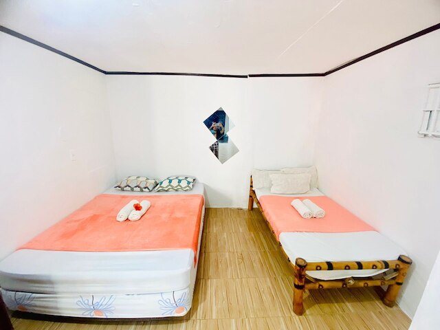 ハイビスカス ダイブ イン