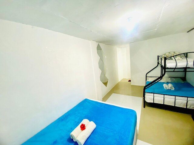 ハイビスカス ダイブ イン