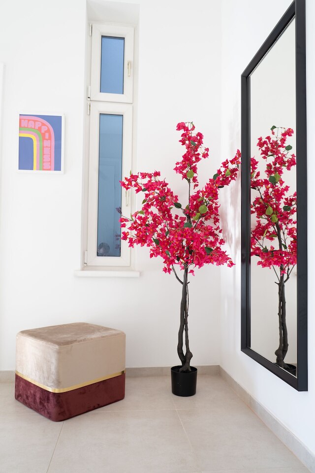 ロクス スタイリッシュ ステイズ