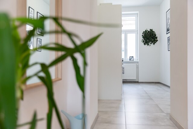 シェーンブルン シティ アパートメント イズ コーリング