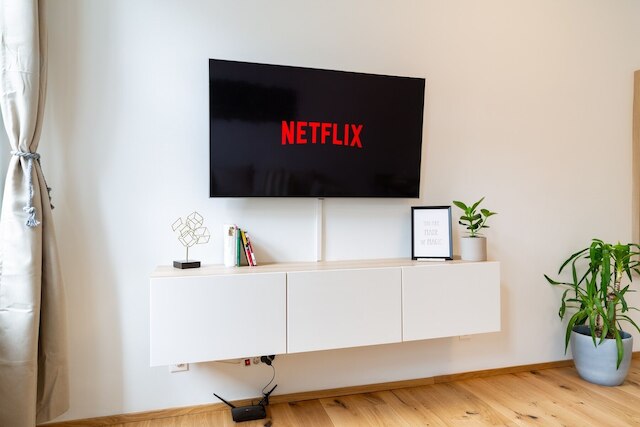 シェーンブルン シティ アパートメント イズ コーリング