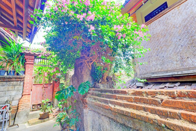 ホテル オ ウブド アスリ ホームステイ ニア モンキー フォレスト