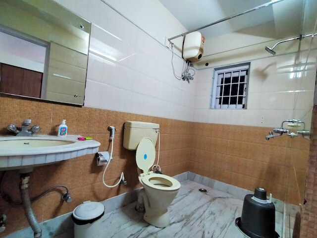 アシュレイ ザ リビング エンティティ