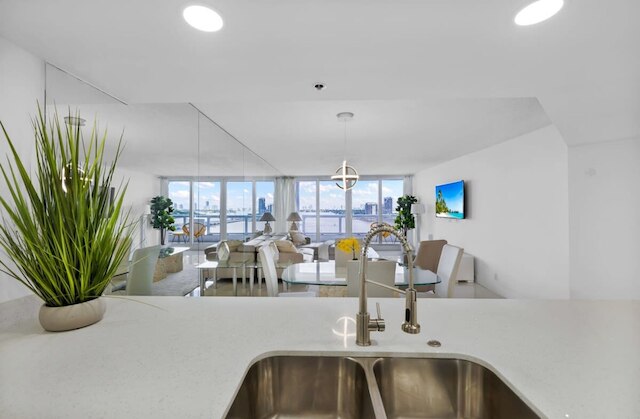 ザ グランド ワンダー ビスケイン