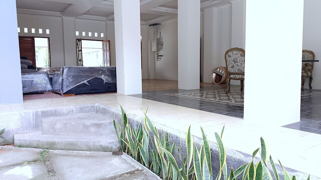 プラム ドリームスケープ バギア マリオボロ