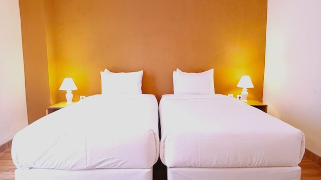 プラム ドリームスケープ バギア マリオボロ