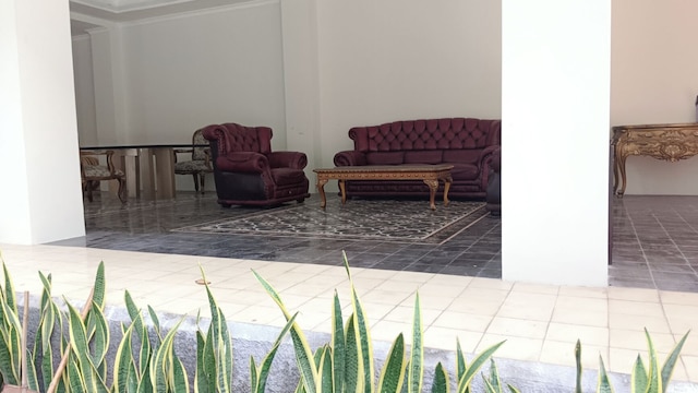 プラム ドリームスケープ バギア マリオボロ