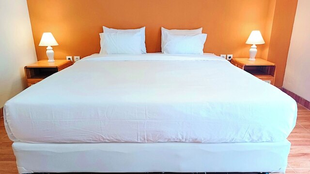 プラム ドリームスケープ バギア マリオボロ