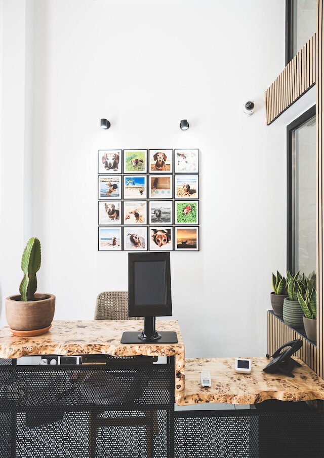 ザ ベアー アンド ウィーン