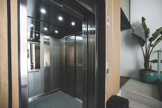 ザ ベアー アンド ウィーン