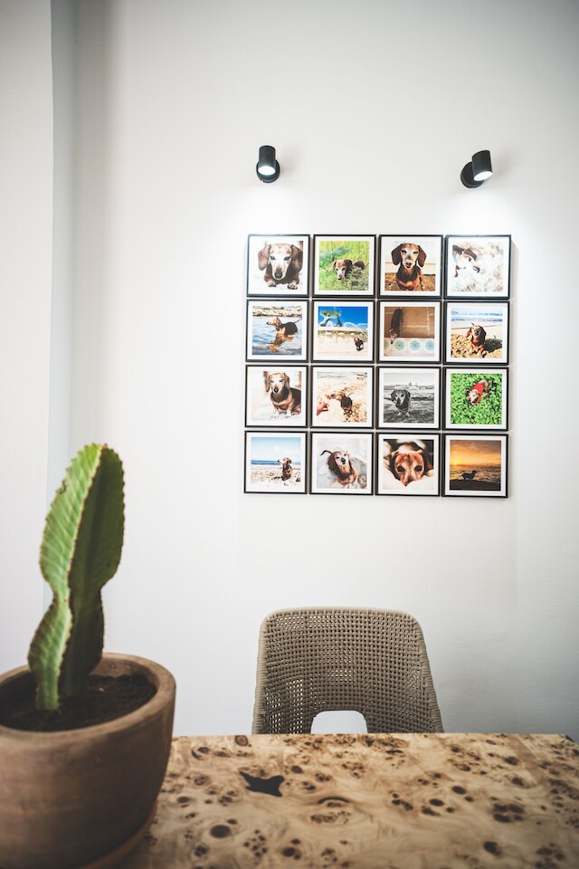 ザ ベアー アンド ウィーン