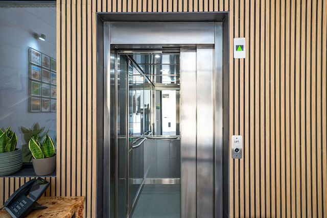 ザ ベアー アンド ウィーン