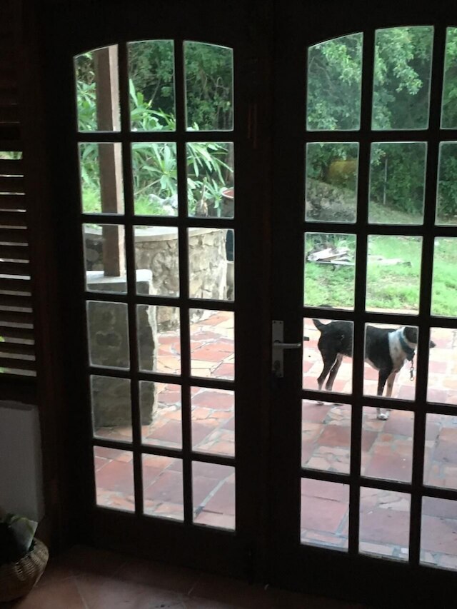 セレーン ルーム ニア インターナショナル エアポート & サンディ ビーチ