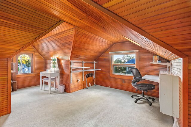 ザ グリーン レイク ファイアフライ ロッジ