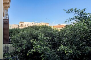 カリプソ イル ビナリオ エレガンス