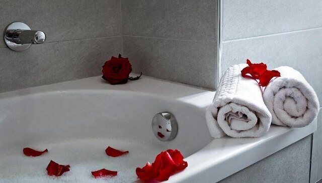 ガリバルディ パレス