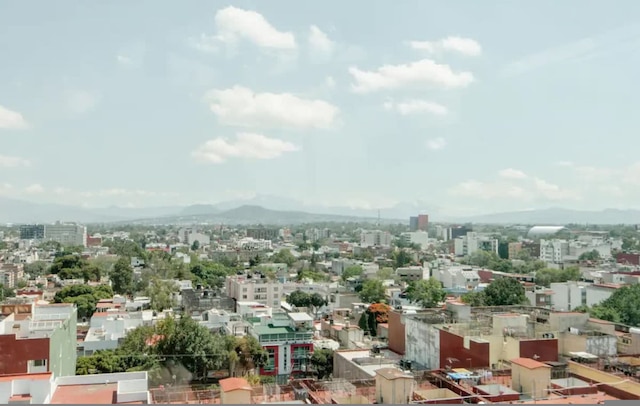 ザ パーム ロフト モダン コンフォート ウィズ ア フリー エクイップド キッチン