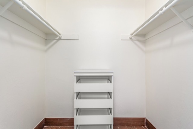 テンピ オアシス