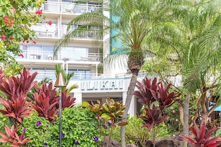 イリカイ ホテル コンド アット ワイキキ ウィズ パーキング