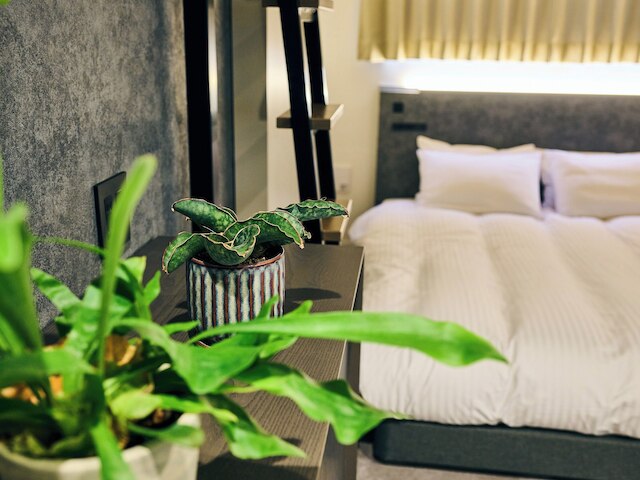 HOTEL ALL IN TOKYO ASAKUSABASHI