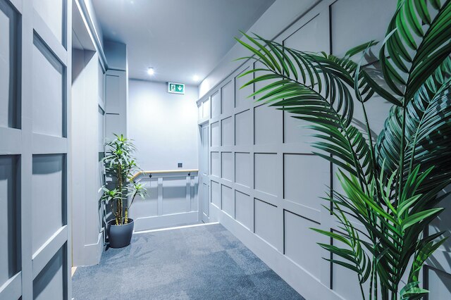 キング ストリート コレクション