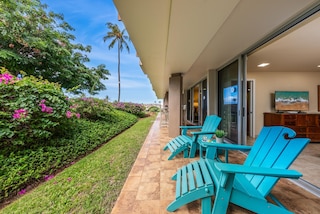 エルドラド E102 イン カアナパリ