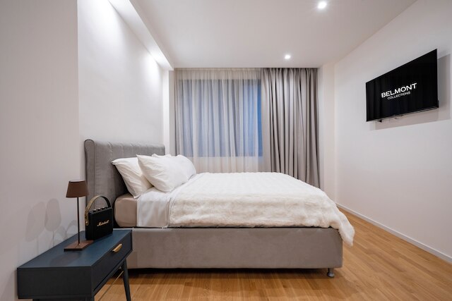 ラグジュアリー アパートメント イン バーリ センター