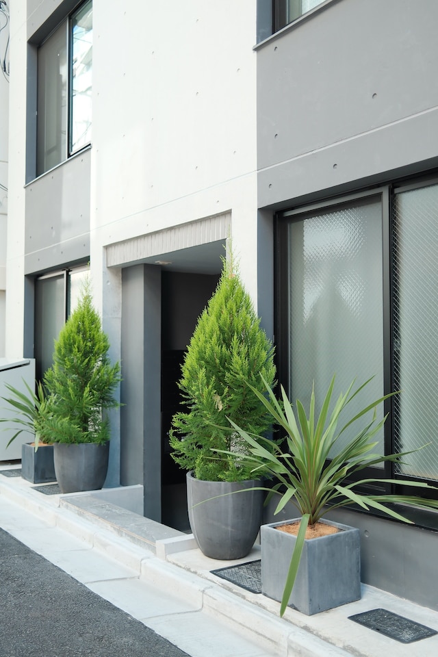 タスキSmart錦糸町II